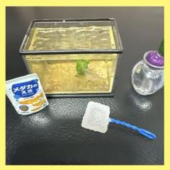 めだか飼育係　様　ご相談商品その1 めだか飼育係様ご相談商品その1
