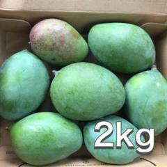 沖縄県産 摘果マンゴー 青マンゴー グリーンマンゴー2kg - メルカリ