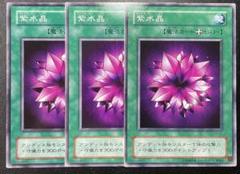 【世界に1枚】遊戯王　紫水晶　初期　ブースター1   字レア　PSA10 世界に1枚】遊戯王紫水晶初期ブースター1 字レアPSA10
