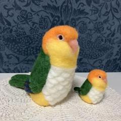 シロハラインコ☆実物大&中ぬいぐるみセット