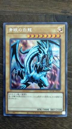 遊戯王 青眼の白龍 シークレット