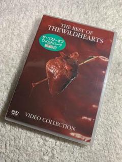 【新品未開封】 ワイルドハーツ / ザ・ベスト・オブ・ワイルドハーツ 【国内盤】