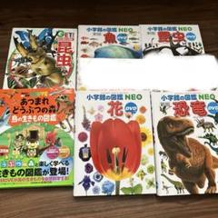 【即購入大歓迎】小学館の図鑑 NEO 13冊セット 即購入大歓迎】小学館の図鑑 NEO 13冊セット