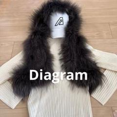 Diagram タヌキ(チャイニーズラクーン)ラビット リアルファー