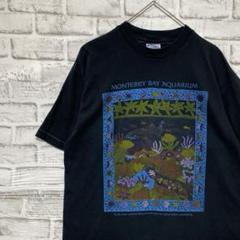USA製90sヴィンテージTシャツ！シングルステッチ ブラック半袖