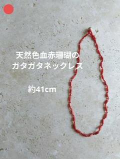 土佐 /高知産血赤珊瑚のネックレス、カジュアル仕上げ　宝石本珊瑚 カレンシルバー
