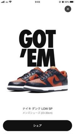 NIKE DUNK LOW SP "CHAMP COLORS"