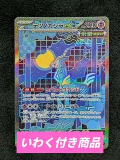 2025年最新】テツノカシラSARの人気アイテム - メルカリ