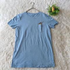ANERICAN EAGLE アメリカンイーグル　Tシャツ　S　ハワイ刺繍