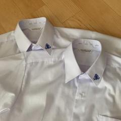 高知西高校 制服 白カッターシャツ半袖 ワイシャツ 新品2枚