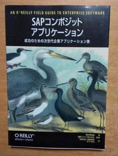 SAPコンポジットアプリケ-ション: 成功のための次世代企業アプリケ-ション像
