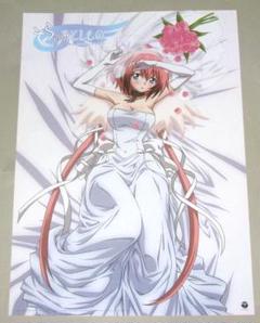 水無月すう先生直筆サイン入りポスター　そらのおとしもの 水無月すう先生直筆サイン入りポスター そらのおとしもの