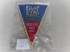 2025年最新】glay ガーランド 東京の人気アイテム - メルカリ