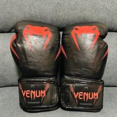 VENUM Gian 本革ボクシンググローブ 8oz