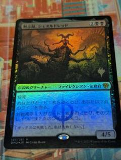 MTG 黙示録、シェオルドレッド 日本語 Foil プロモパック産