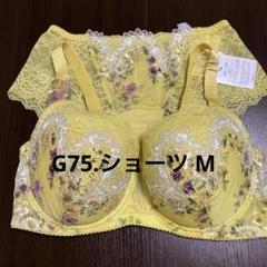 新品ワコール 高級ブラ デューブルベ G75定価18200(税抜き)