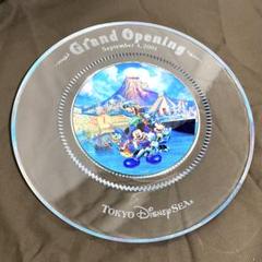 [レア品]Disney sea 2001グランドオープン記念皿(プレート)貴重品 東京ディズニーシー グランドオープン 記念 2001年 ガラス