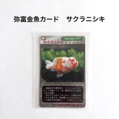 クラニシ RB-7 430MHz RFバランサ【希望価格登録大歓迎】 新品、本物、当店在庫だから安心】 クラニシ RFバランサ【希望
