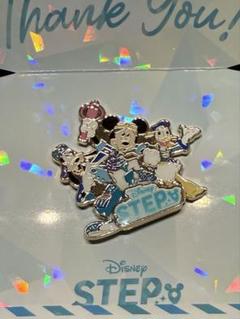 激レア  ディズニーストア  非売品ピンズ 1125532232.jpg?1613630075