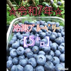 ☆令和7年 生ブルーベリー☆農薬不使用 3㌔ K ☆令和7年 冷凍ブルーベリー☆農薬不使用 5㌔ - メルカリ