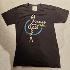 2025年最新】スコットクラブ レディース 半袖(Tシャツ) Tシャツ