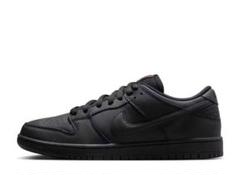 Nike SB Dunk Low Pro ISOのサムネイル