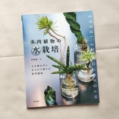 多肉植物の水栽培 土を使わずに水だけで育てる多肉植物