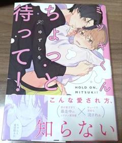 BL漫画 ミツキくんちょっと待って！