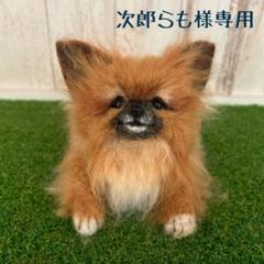 ☆次郎らも様専用☆羊毛フェルト【チワワ×パピヨン】MIX犬