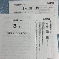 【最新版】テストつき★SAPIX 3年生 2024年度 1年分フルセット バックナンバー】サピックス5年生 3月組分け・入室テスト動画
