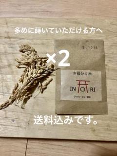 管99／種籾　ハッピーヒル　1kg うるち米　自然 管99／種籾 ハッピーヒル 200g うるち米 自然 - メルカリ