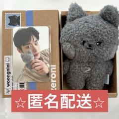 未開封 ウンニニ トレカ ジウン 着せ替えぬいぐるみ ZEROBASEONE ZEROBASEONE ジウン ウンニニ ぬいぐるみ 箱付き - メルカリ