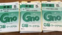 G脳ワークアウト 算数 5年 1-30
