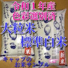 棚田の大粒米 玄米10Kg「標準白米に精米します」希少
