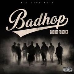 廃盤 BAD HOP 1stアルバム 新品未使用 送料無料 激レア 廃盤BAD HOP 1stアルバム 初期 希少badhop バッドホップ