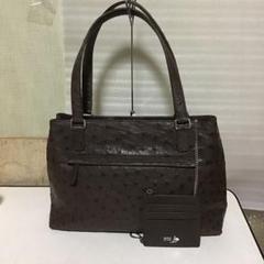 ◎ KLEIN KAROO クラインカルー オーストリッチ グリーン がま口