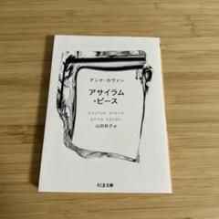 アンナ・カヴァン　単行本　4冊セット 2025年最新】アンナ・カヴァンの人気アイテム - メルカリ
