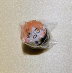 KING OF PRISM まめころりん　十王院カケル