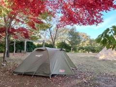【美品】Coleman Touring Dome LX キャンプテントのサムネイル
