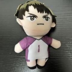 ハイキュー 牛島若利 マスコットぬいぐるみ4 - メルカリ