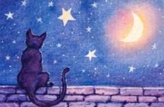 黒猫 星空 ダイヤモンドアート 40x30cm
