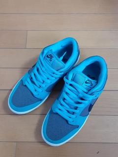 Nike dunk sb low dusty cactus 26