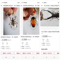 宝石ゾウムシ、アピカリスタマムシキーホルダー、インペラトール