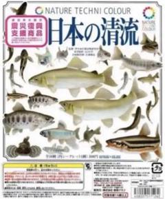 ハンドメイド　39cmヤマメ アマゴ　フィギュア　未塗装　ガレージキット　釣り 新品】○ハンドメイド 39cmヤマメ、アマゴ 未塗装 ガレージ