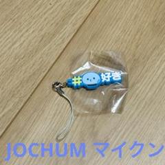 JOCHUM マイクン ヘアゴム 河野純喜 JOCHUM マイクン ヘアゴム 河野純喜