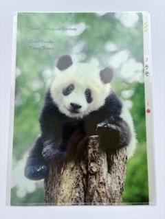上野動物園★パンダ★シャンシャンクリアファイル、ポストカード、ノベルティ他大量 上野動物園☆パンダ☆シャンシャンクリアファイル、ポストカード