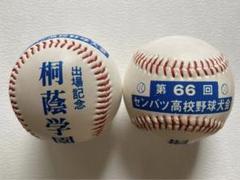 桐蔭学園(神奈川) 甲子園 第66回 センバツ高校野球大会出場記念 2個 桐蔭学園(神奈川) 甲子園 第66回 センバツ高校野球大会出場記念