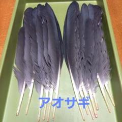 鳥の羽根天然野鳥野鳥の羽根30㎝以上のアオサギ風切り羽根10枚