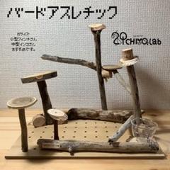ハンドメイド製 バードアスレチック Mサイズ ふくちよラボ