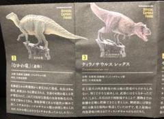 2025年最新】恐竜博 2019の人気アイテム - メルカリ